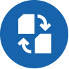 Icon Convertible Options